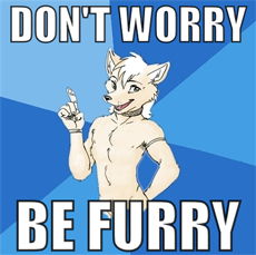 dont-worry-be-furry