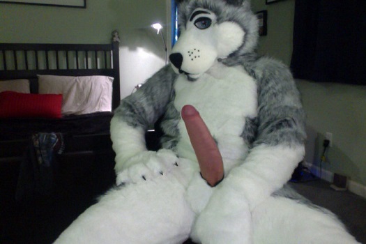 furrry fetish, fursuit porn,